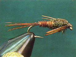 Pheasant Tail