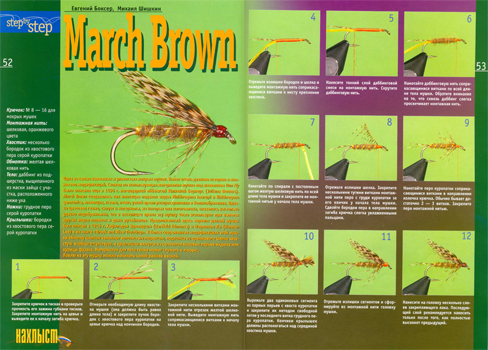 March Brown