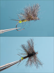 Roman Moser Stone Fly