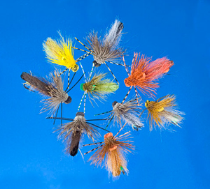 Roman Moser Running Stonefly Attractor