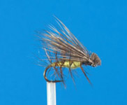 Неправильный Elk Hair Caddis