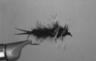 Charles Brooks Stonefly