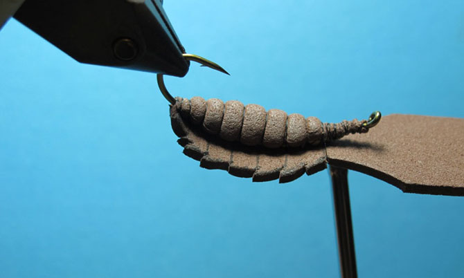 Мушка личинка стрекозы