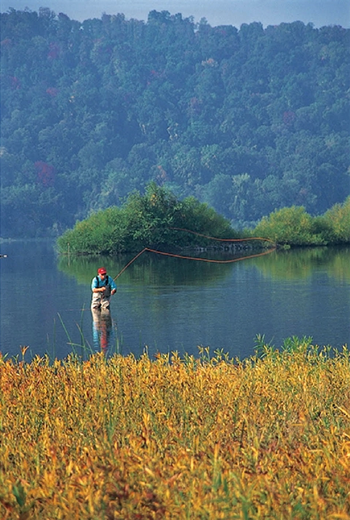 Clouser Deep Minnow