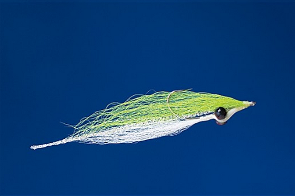 Clouser Deep Minnow