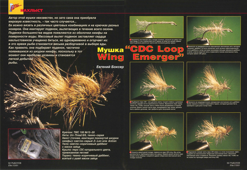 Е. Боксер CDC Loop Emerger