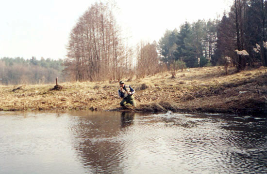 В. Дьяченко