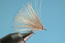 Bull Elk Hair