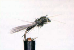 Roman Moser Midge Dry