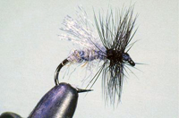 Roman Moser Snow Flake Midge