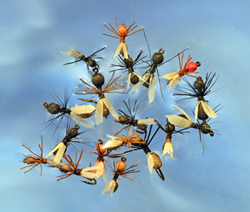 Roman Moser Flying Ant