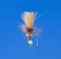 Roman Moser Egg Laying Caddis