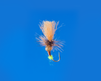 Roman Moser Egg Laying Caddis