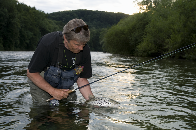 Roman Moser Egg Laying Caddis