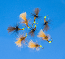 Roman Moser Egg Laying Caddis