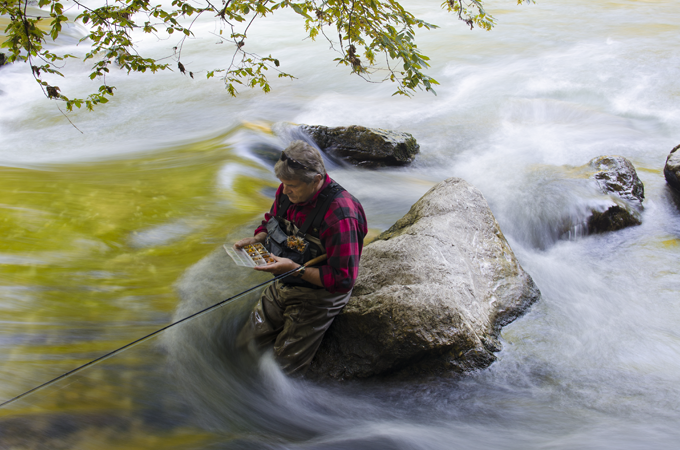 Roman Moser Tandem Shiner