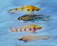 Roman Moser Tandem Shiner