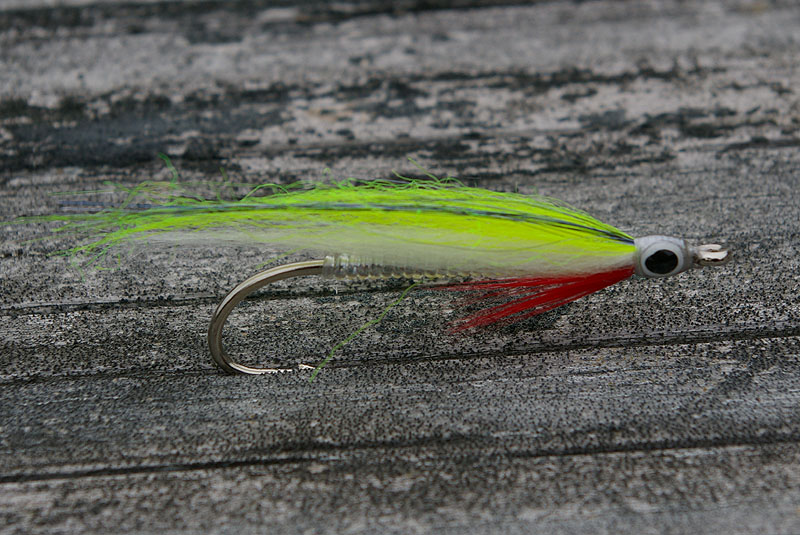 Glass Minnow