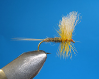 Roman Moser Ash Fly