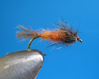 Roman Moser Orange Nymph