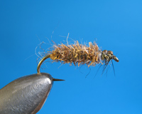 Roman Moser Cased Caddis