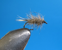 Roman Moser BWO Nymph