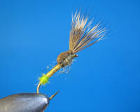 Roman Moser Egg Laying Caddis