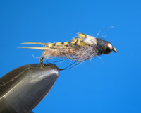 Roman Moser Stonefly Nymph, light