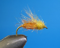 Roman Moser Rising Sedge Pupa