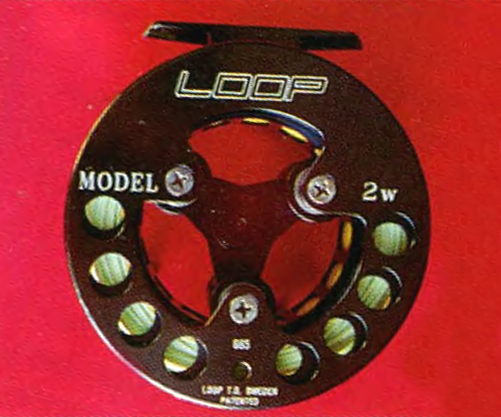 Loop 2 w