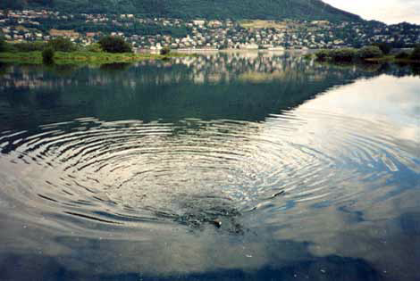 Ю. Шумаков Ловля в стоячей воде