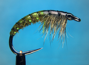 Olive Czech Nymph