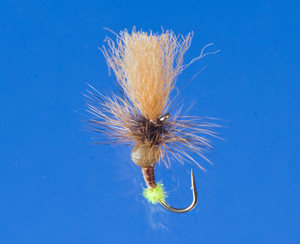 Egg Laying Caddis 