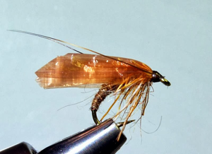 POPA Caddis