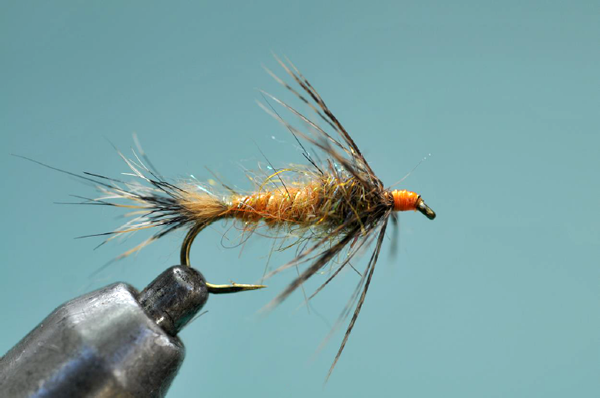 Red Fox Squirrel-Hair Nymph