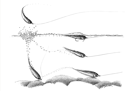 Дэйв Витлок Sheep Minnow